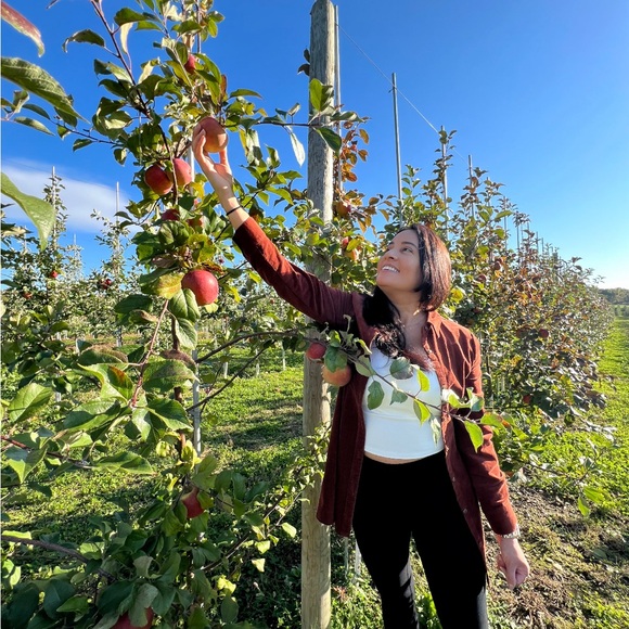 ASOS Design Petite Cord Fitted Shirt Dress - Picture 4 of 6